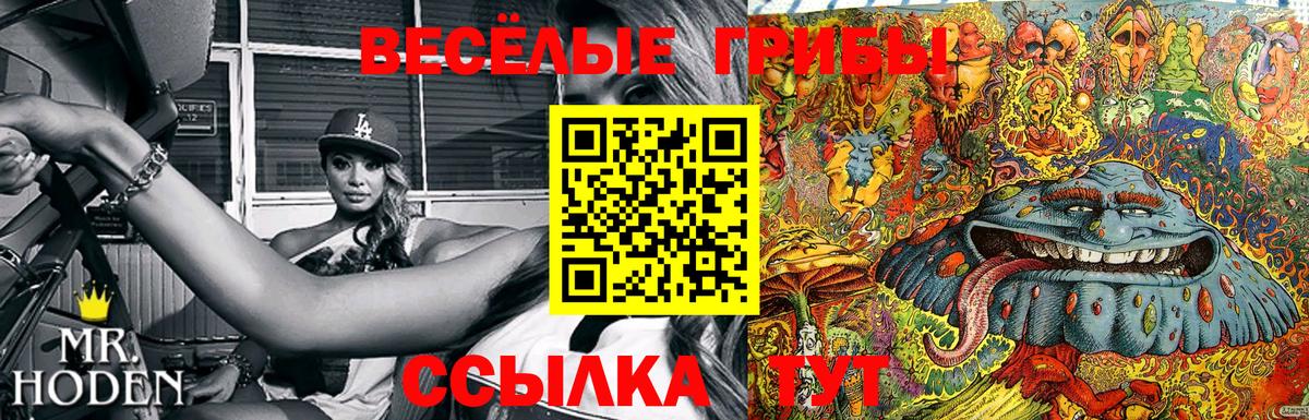 Псилоцибиновые грибы ЛСД  Псилоцибиновые грибы Psilocybe  Менделеевск  Вход с VPN 